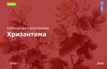 Курс
 Хризантема