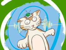 Гипноз и психосоматика