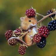 Постер: Ботаника в пастельной технике