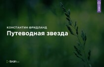Семинар
 Путеводная звезда