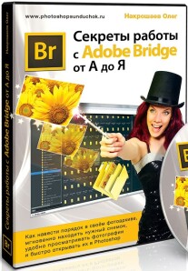 Постер: Секреты работы с Adobe Bridge от А до Я