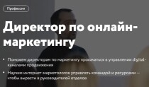 Директор по онлайн-маркетингу