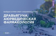 Постер: Дравьягуна. Аюрведическая фармакология