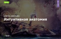 Тренинг
 Интуитивная анатомия