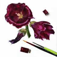 Постер: Атласные темные цветы