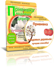 Постер: Прививка плодовых деревьев: лучшие способы!