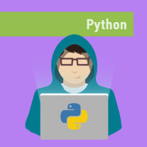 Постер: Разработчик Python