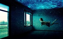 Видеокурс
 Матрица прошлых воплощений