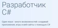 Постер: Разработчик C#: Microsoft Developer