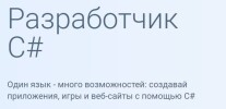 Постер: Разработчик C#: Microsoft Developer