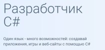 Разработчик C#: Microsoft Developer
