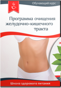 Видеокурс
 Программа очищения желудочно-кишечного тракта