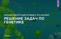 Решение задач по генетике