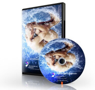 Постер: Тотальное очищение жизни — высвобождение энергии