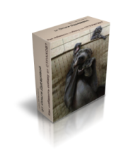 Постер: О чём молчат кинологи: как избавить собаку от СТРАХОВ?