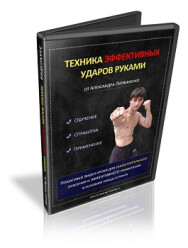 Постер: Техника эффективных ударов руками