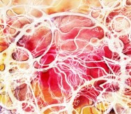 Постер: Нейрографика отношений