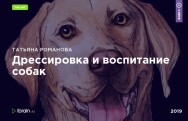 Постер: Дрессировка и воспитание собак