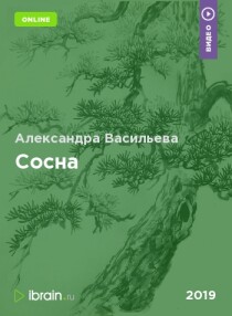 Курс
 Сосна