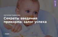 Постер: Секреты введения прикорма: залог успеха