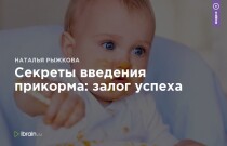Секреты введения прикорма: залог успеха