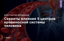Постер: Секреты влияния 5 центров кровеносной системы человека