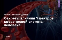 Видеокурс
 Секреты влияния 5 центров кровеносной системы человека