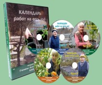 Календарь работ на весь год