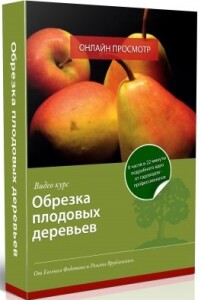 Видеокурс
 Обрезка плодовых деревьев