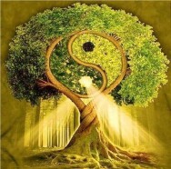 Постер: Работаем с программами рода