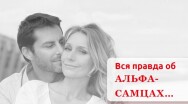 Постер: Альфа-самец: инструкция по применению