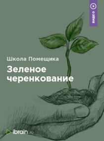 Зеленое черенкование