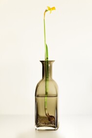 Постер: Женская мудрость: от гармонии в душе к гармонии в семье