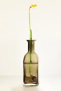 Тренинг
 Женская мудрость: от гармонии в душе к гармонии в семье