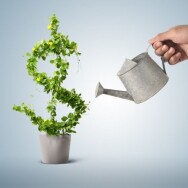 Постер: Факультет мастеров денежного благополучия