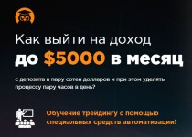 Прибыльный полуавтомат на Forex